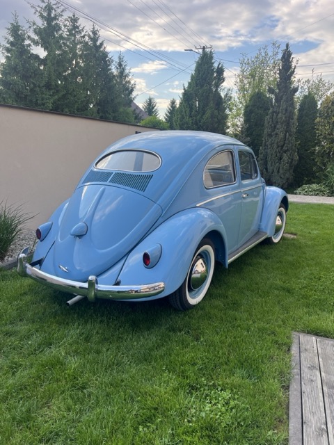 VW Garbus Oval 1954